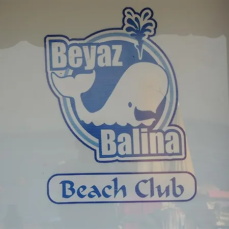Cunda Beyaz Balina Ayvalı